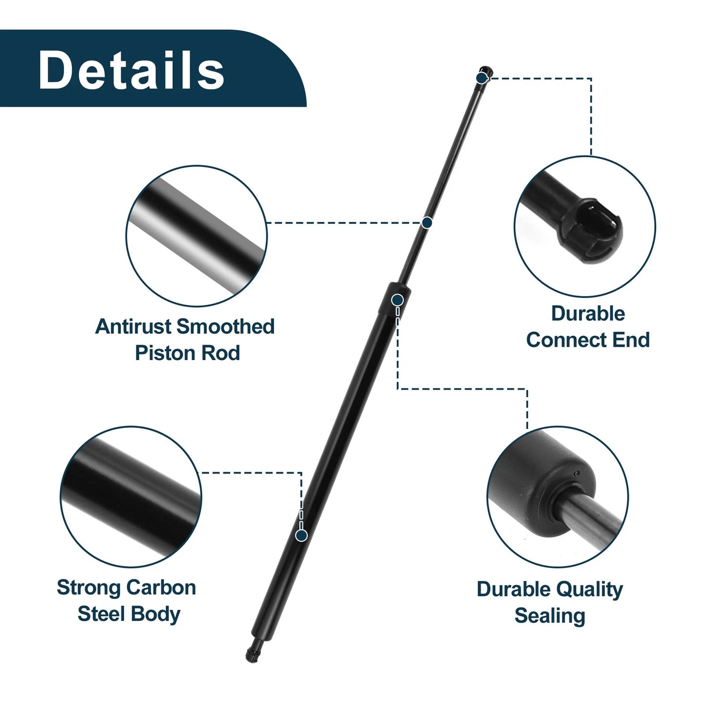 Rear Hatch Lift Supports for BMW E83 X3 SUV (2004-2010)