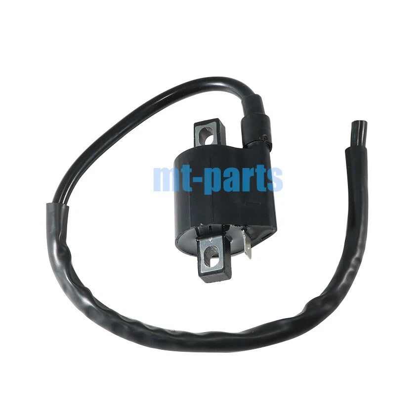 Ignition Coil for Suzuki LTF250 QuadRunner 88-95, 1999-2001, LTF250F 99-01