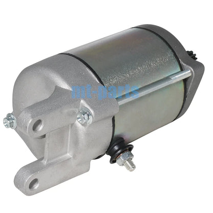 Starter Motor Assembly for E-Ton ATV Vector 250 300, Gamax ATV AX250 AX300