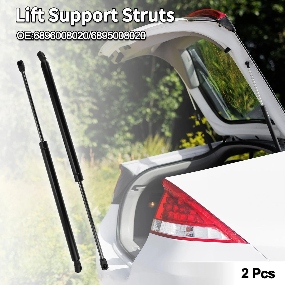 Rear Hatch Lift Supports / 2 x Struts for Toyota Sienna (2011–2020)