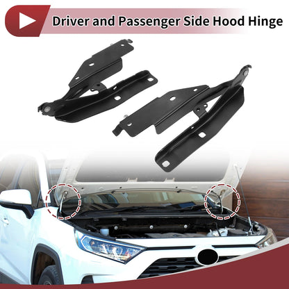 Hood Hinges 1 Pair for INFINITI G37 (11-13)