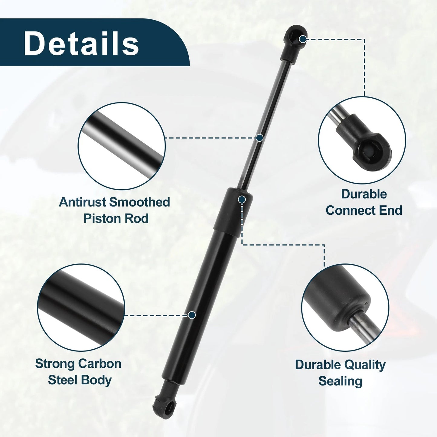 Rear Hatch Lift Supports Struts for Infiniti Q50