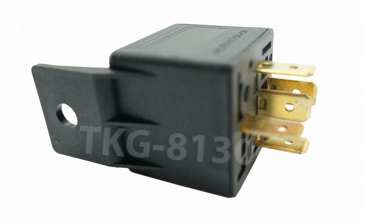 Bosch Relay 12V 30A for Various Models