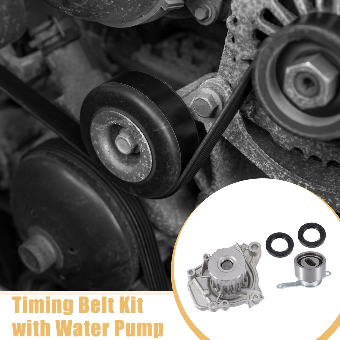 Auto Timing Belt & Water Pump Set for Honda Civic (2001-2005)
