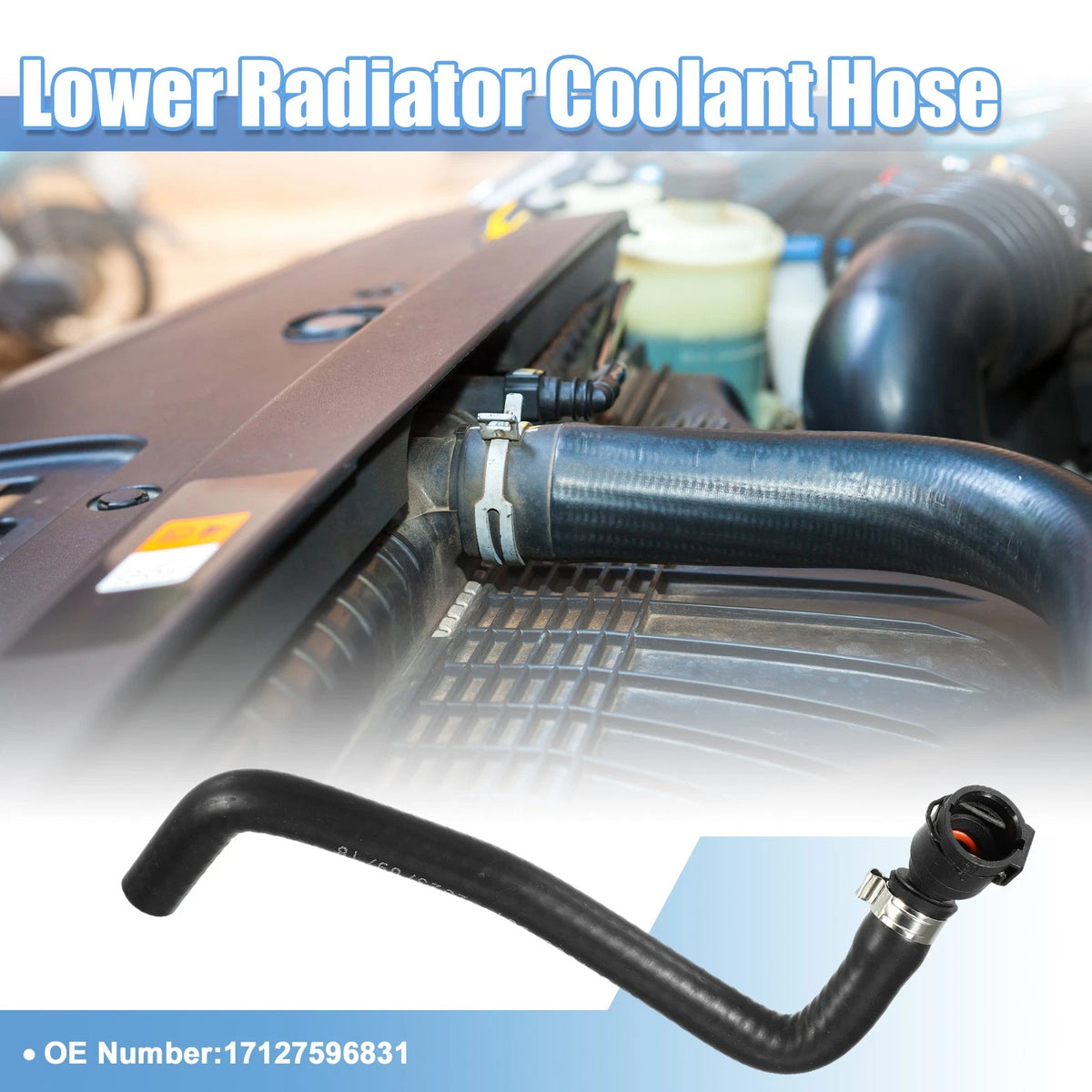 Radiator Coolant Hose for BMW 320i Base 2.0L (2013-2016) - 1 x Piece
