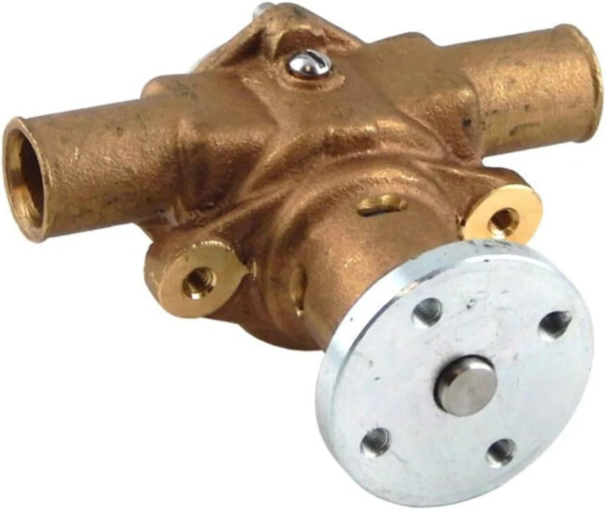 Raw Water Pump for Sherwood Crusader 40050 Pleasurecraft