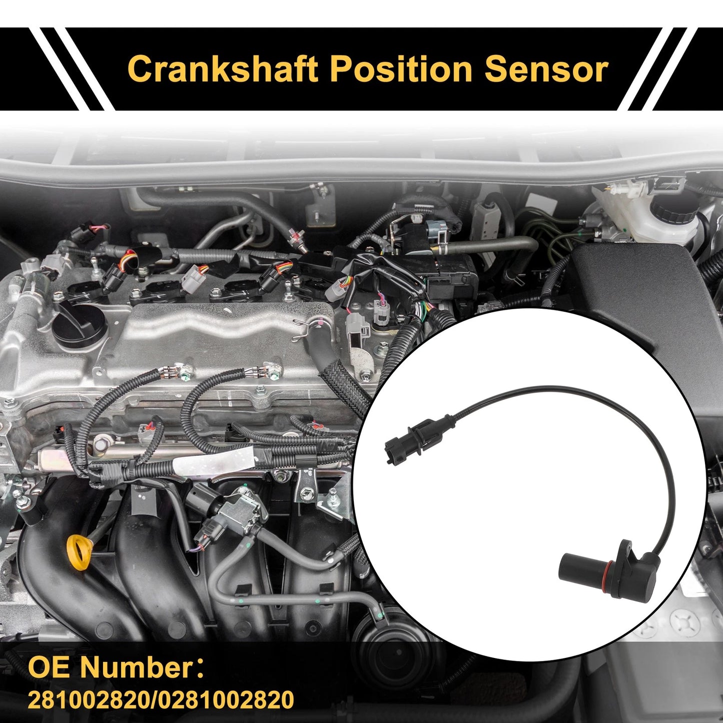 Crankshaft Position Sensor for Ford Ranger 2.5 (2006-2011) - 1 Pc