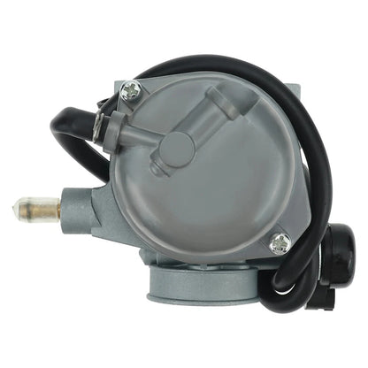 Carburetor & Fuel Filter for Honda CRF110 F (2013-2018)