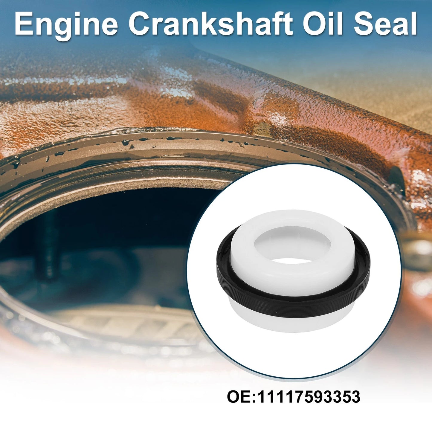 Front Crankshaft Oil Seal for BMW 1 3 Series (2007-2013)