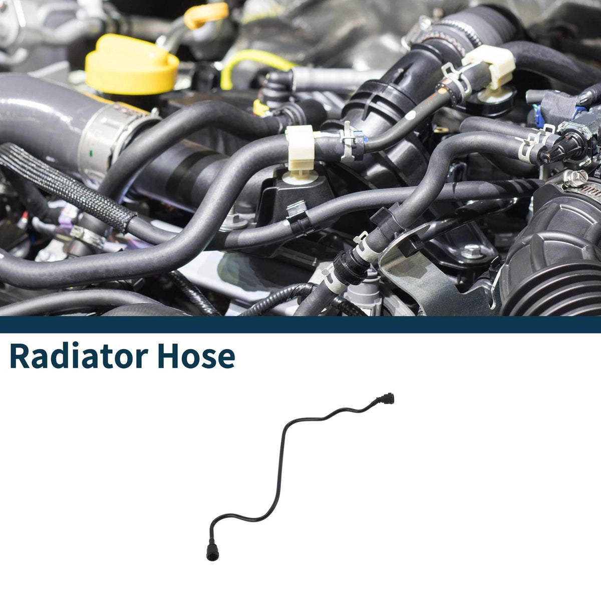 Radiator Hose for BMW 230i Base 2.0L (2022 - 2025)