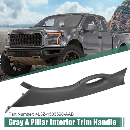Left Driver Side Interior Trim Handle for Ford F150 (2006-2008) Gray