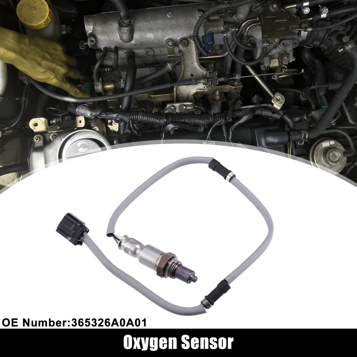Oxygen Sensor for Honda Accord (2018-2020)
