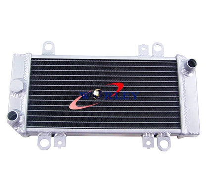 Aluminum Radiator for Kawasaki Ninja 250R EX250J (2008-2012)