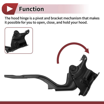 Hood Hinges 1 Pair for Kia Forte (2010-2013)