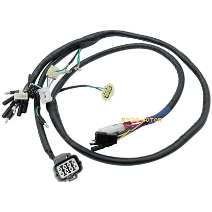 Wiring Harness 2x4 4x4 for Honda TRX300 (1997–2000)