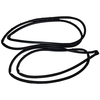 Front Door Weatherstrip Seal for 2002-2006 Acura RSX Left & Right Pair