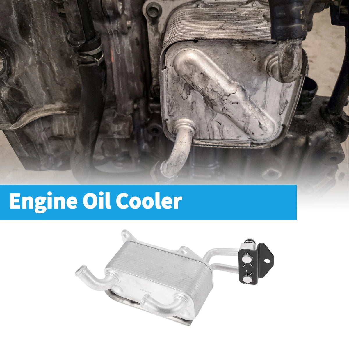 Engine Oil Cooler for Ford Ranger (No.JB3G7A095BA) (2019-2023) 1 x Pc