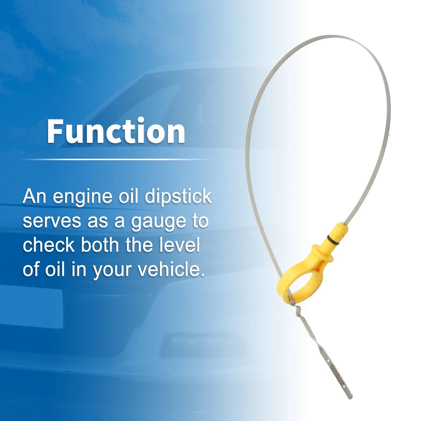 Engine Oil Dipstick for Ford Focus (2012-2016)