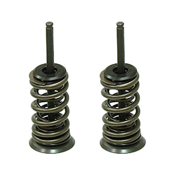 Exhaust Valve for Honda TRX450R/TRX450ER Sportrax (2006–2014)