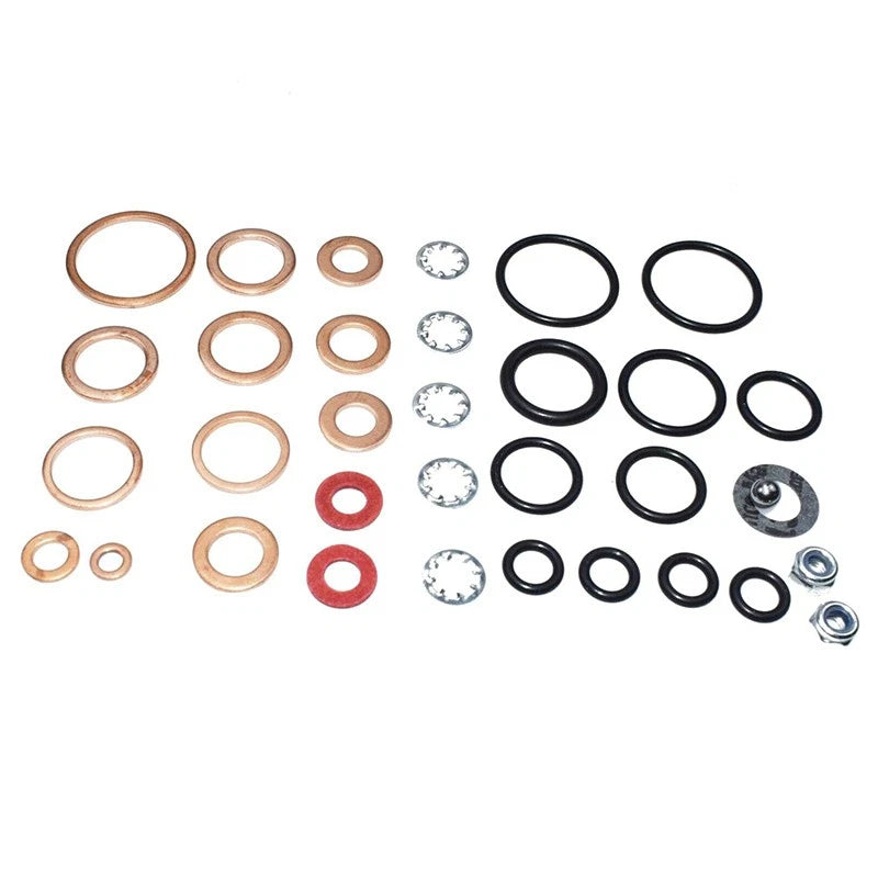 Diesel Injection Pump Repair Kit for Ford Massey Ferguson