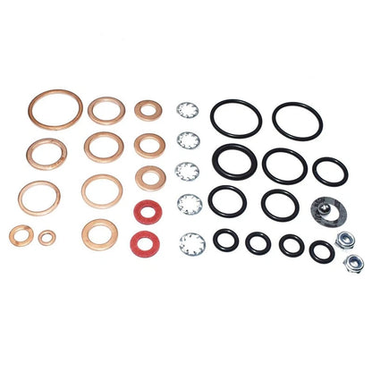 Diesel Injection Pump Repair Kit for Ford Massey Ferguson