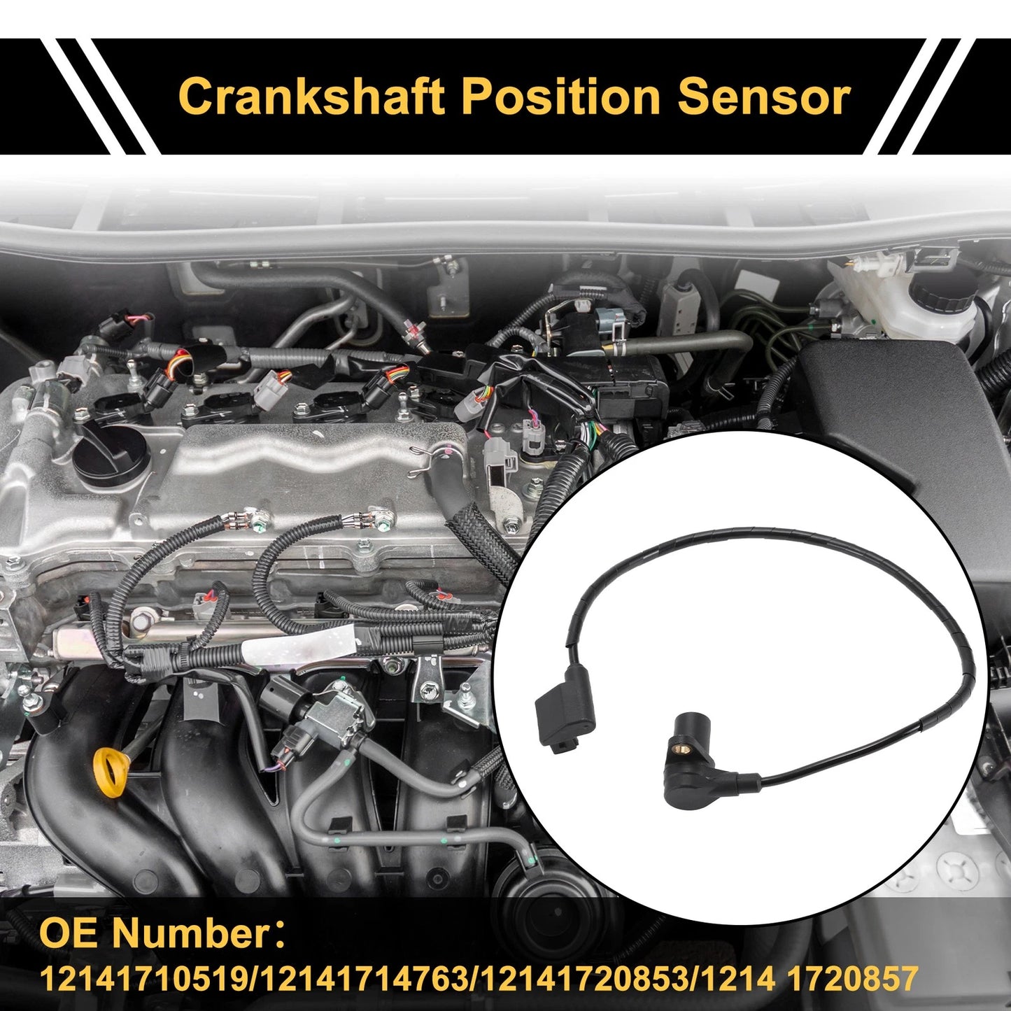 1 Pc Crankshaft Position Sensor for BMW E32 730i 730iL (1985-1989)