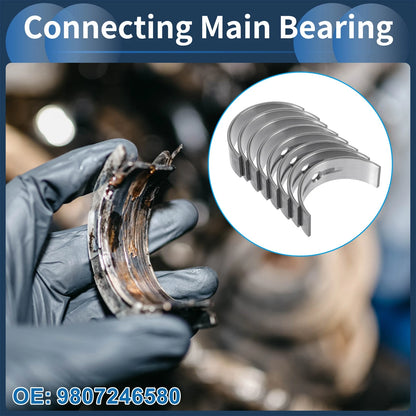 Main Bearing Set for Peugeot 301 (2012-2023)