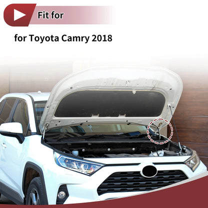 Left Hood Hinge 1 pc for Toyota Camry (2018–2018)