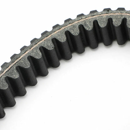 Timing Belt for Piaggio Master 400/500 (2011)