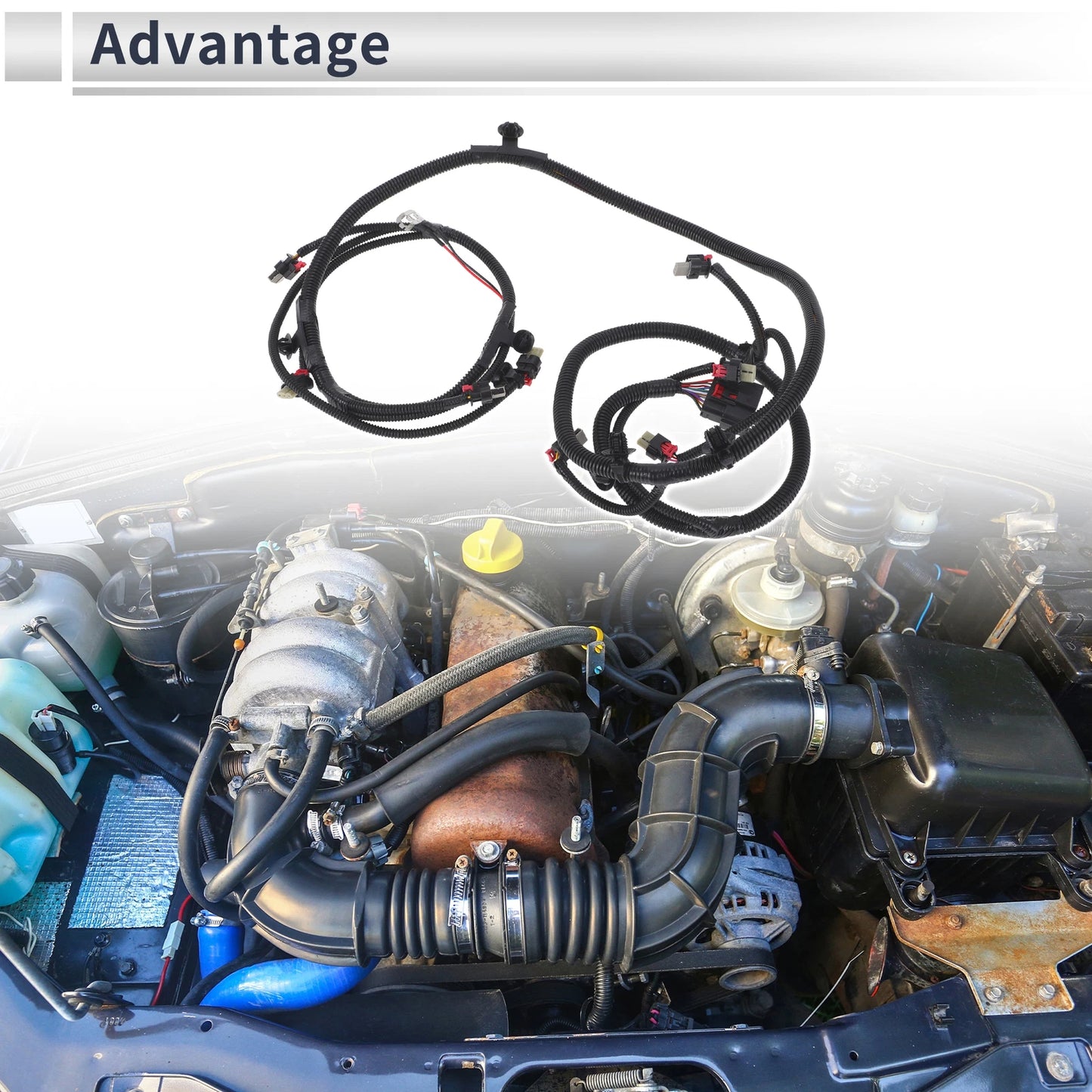 Wiring Harness for Tesla Model 3 (2017-2022) 1 Pcs
