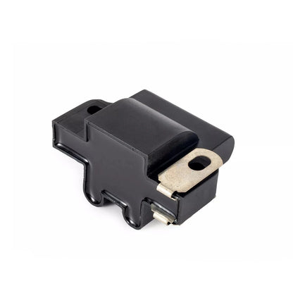 Ignition Coil Replacement for Johnson/Evinrude Outboard Engine