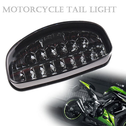 Smoke LED Integrated Rear Taillights for Suzuki GS500E GS500F (2004-2009)