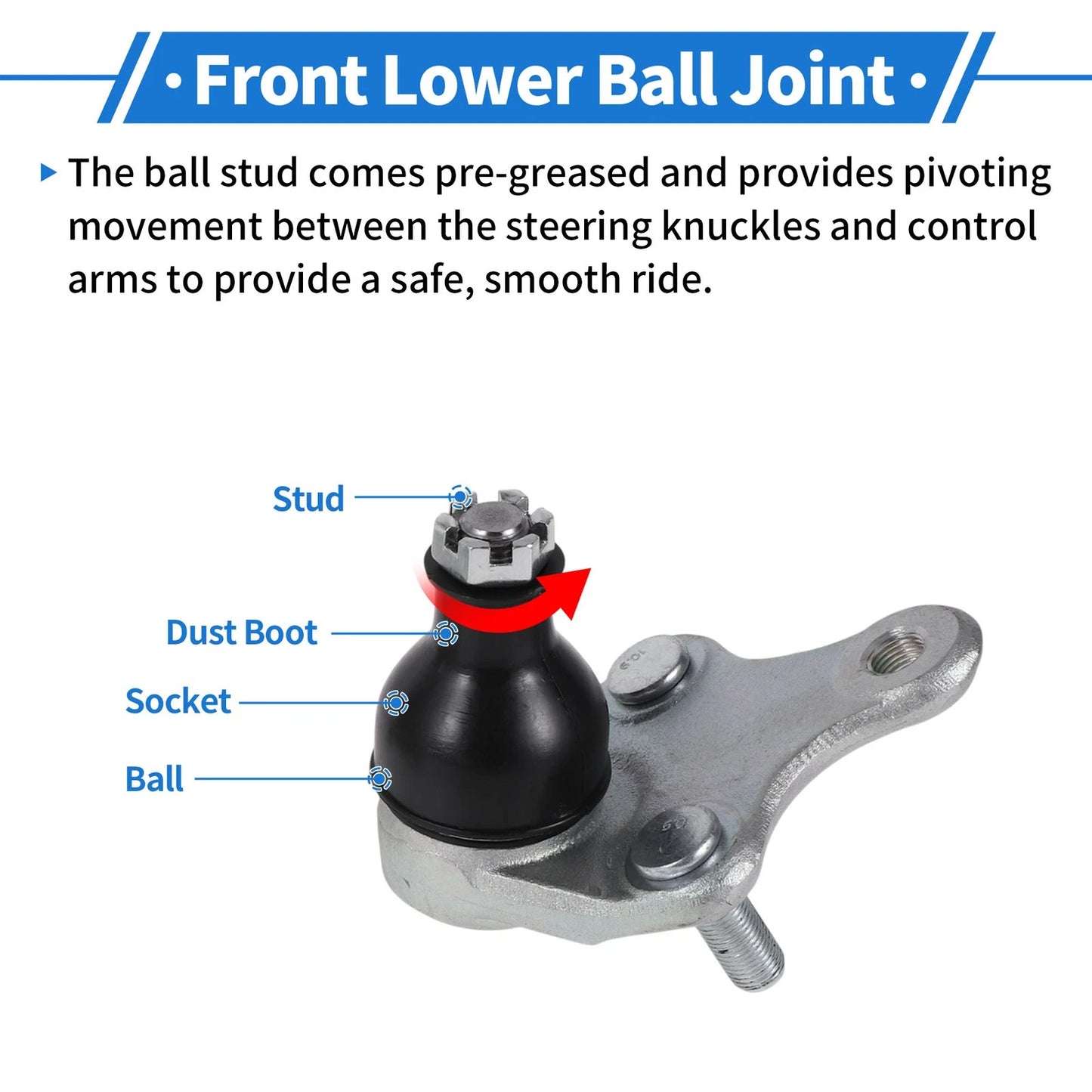 Front Lower Ball Joints for Toyota Camry (2017-2022)
