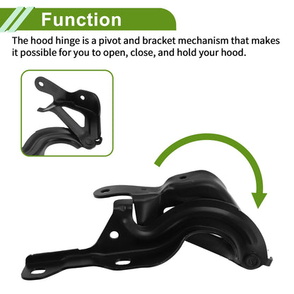 Hood Hinges for Chevrolet Malibu (2013-2015)