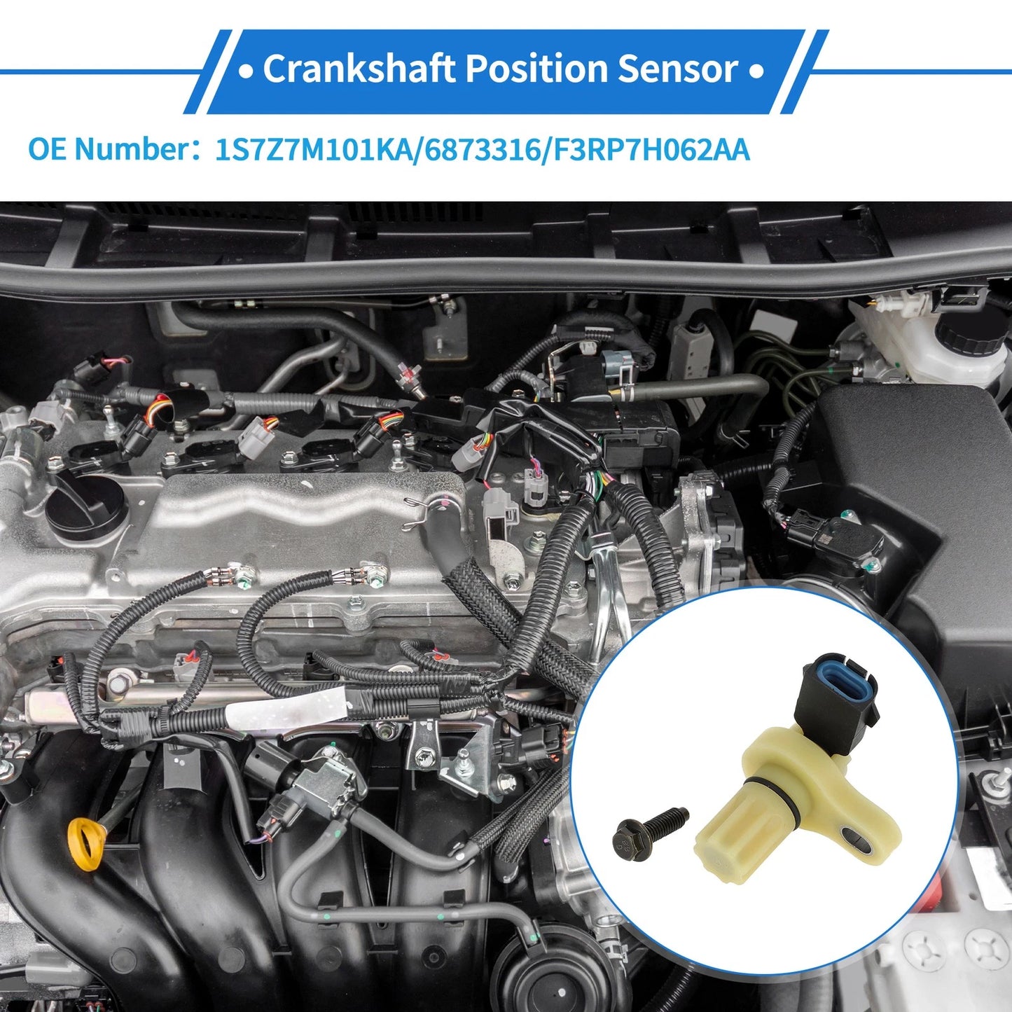 Crankshaft Position Sensor for Ford Escape 2.3 (2006-2007)