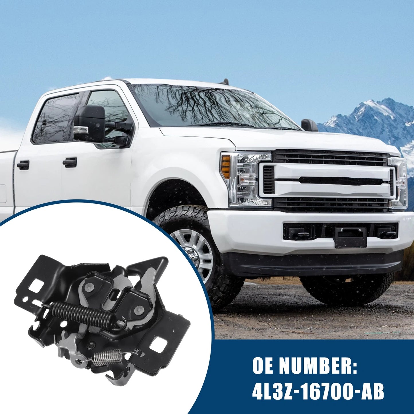 Hood Latch Assembly for Ford F-150 2004-2013 (1 x)