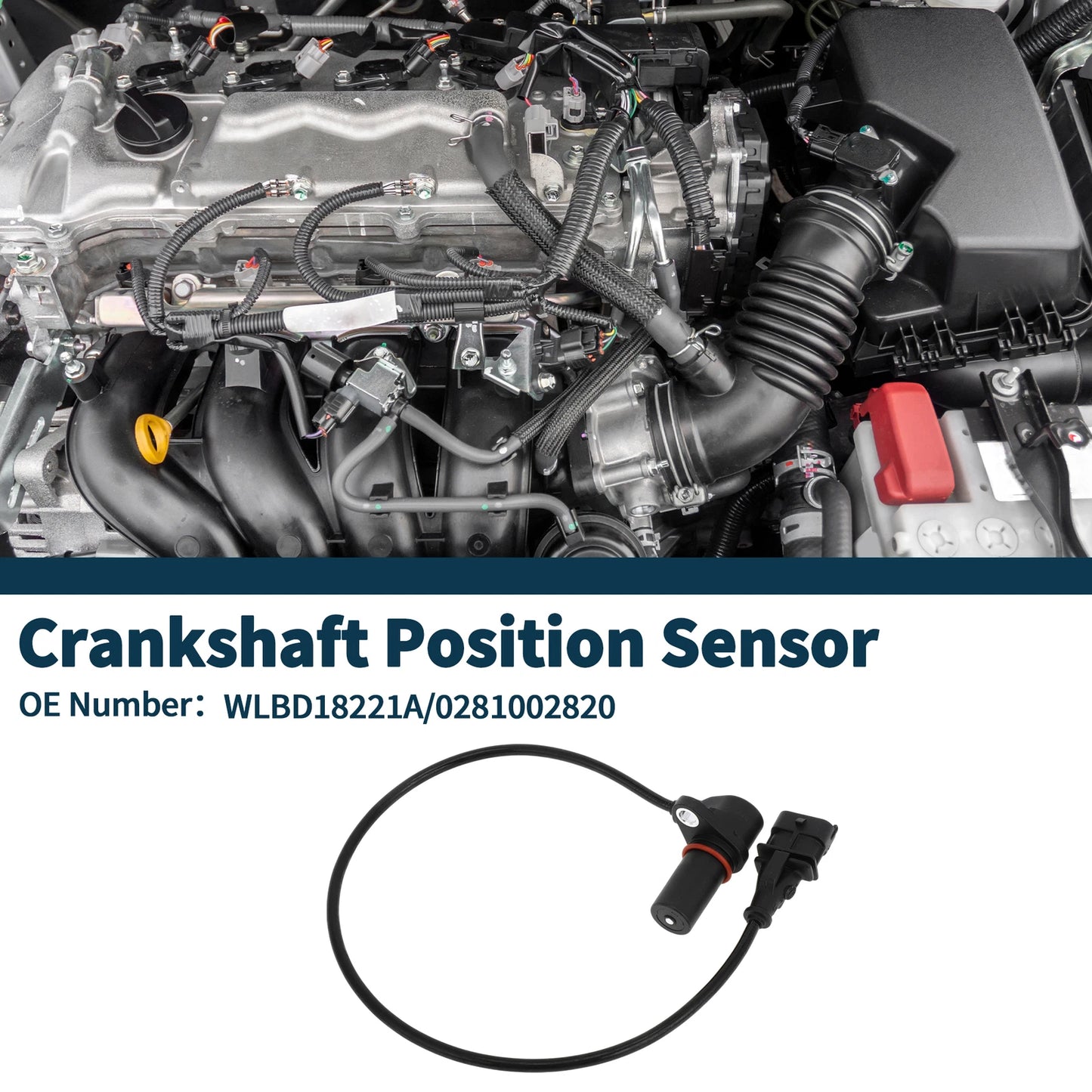 Crankshaft Position Sensor for MAZDA BT-50 2.5MRZ-CD (2006-2013) 1 Pc