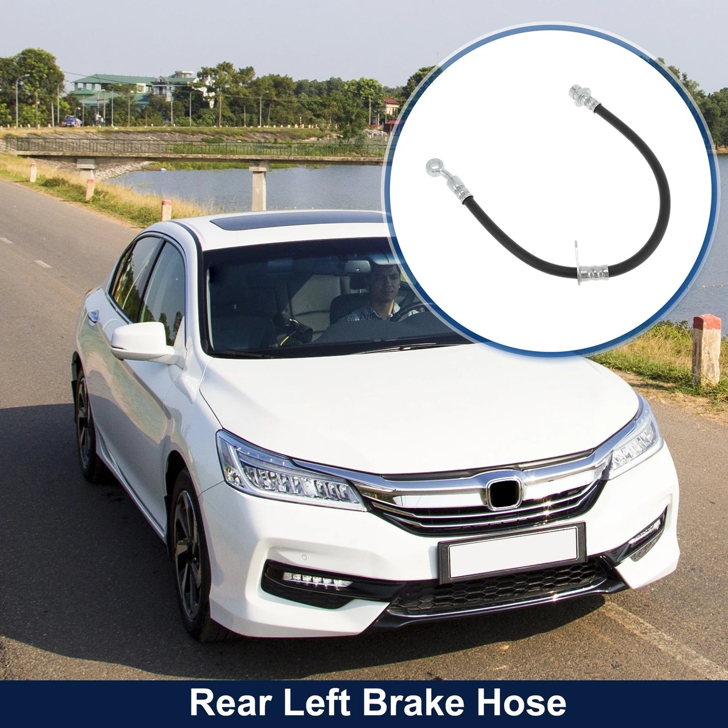 Rear Left Brake Hose for Honda Accord (2013-2017)