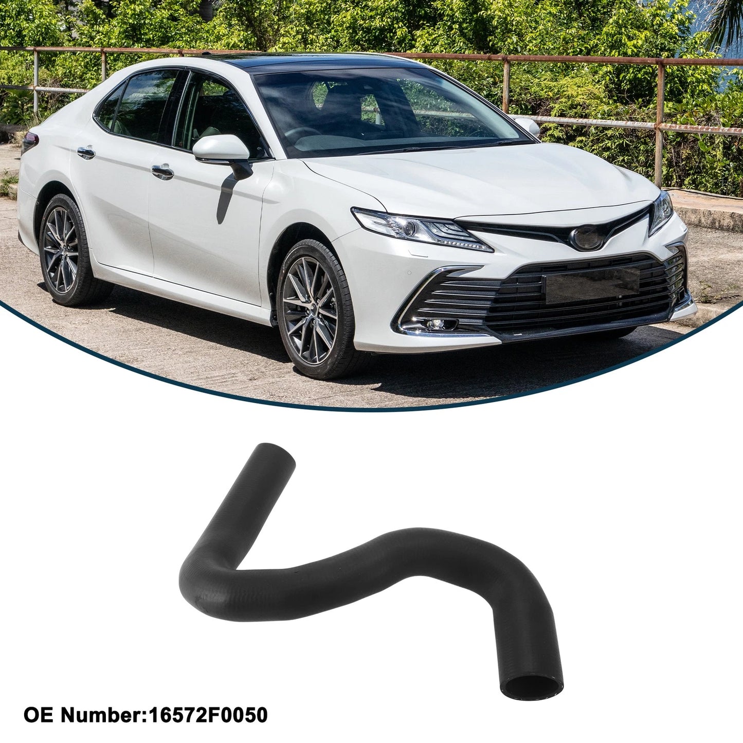Lower Radiator Hose for Toyota Camry (2018-2023)