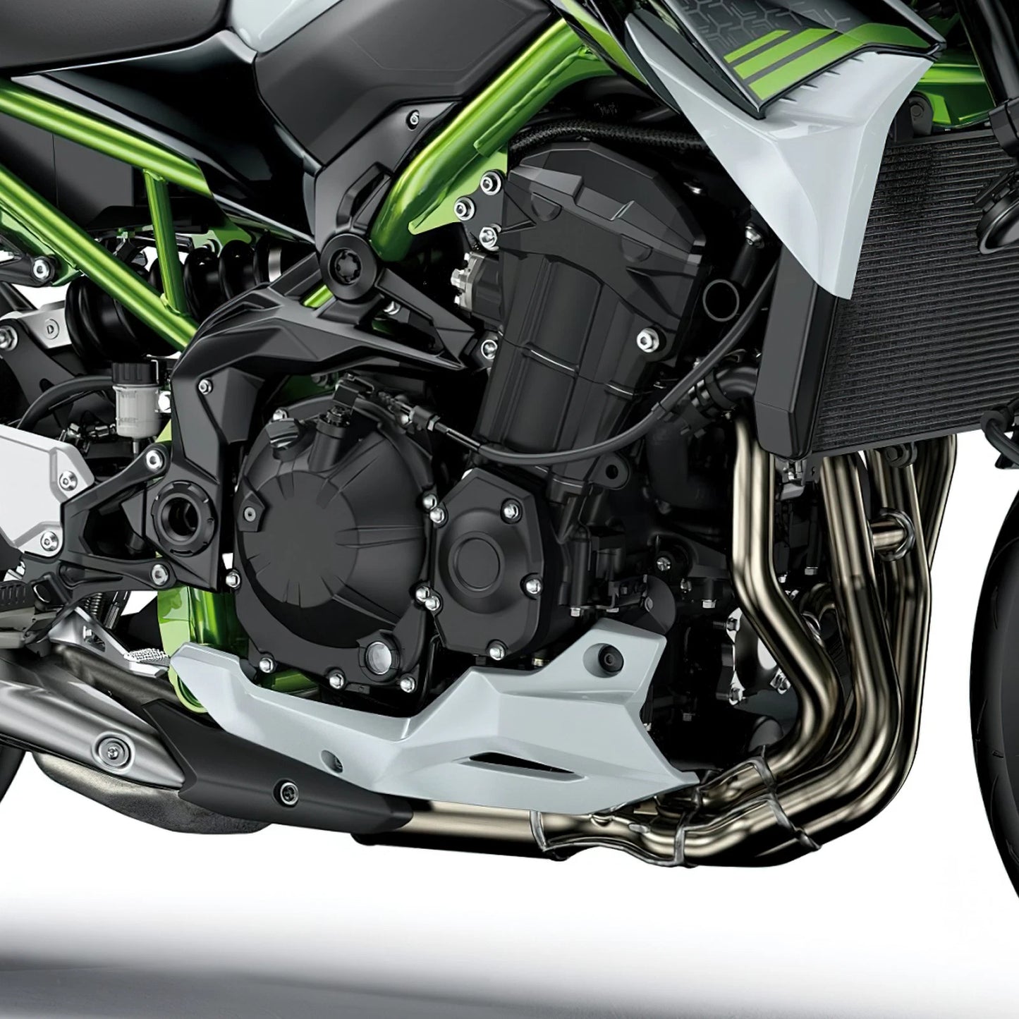 Stator Cover Case for Kawasaki Z900 (2017 - 2025)