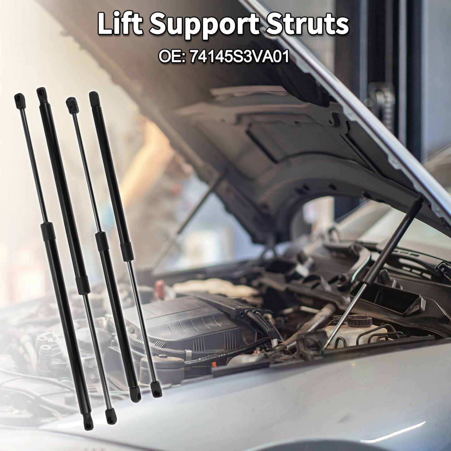 Front Hood & Tailgate Lift Supports Struts for Acura MDX (2001 - 2006)
