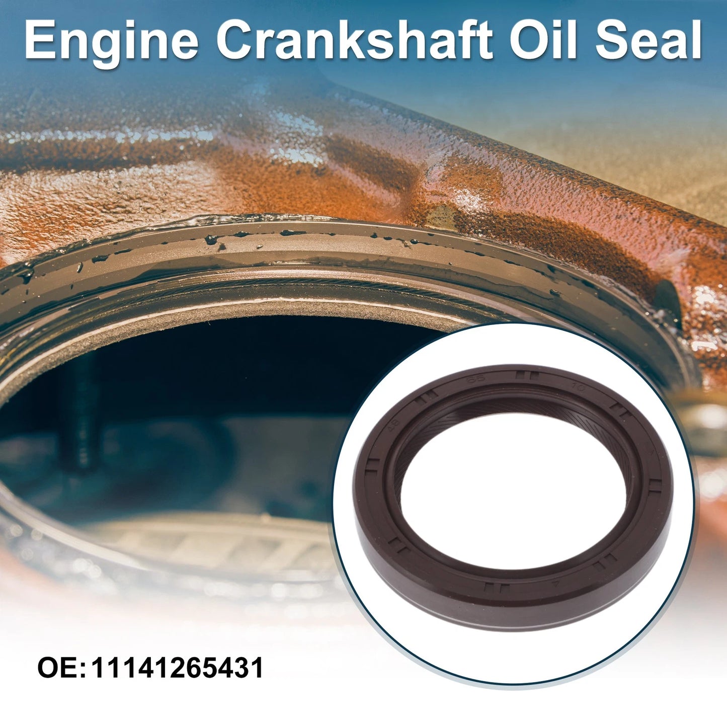 Front Crankshaft Oil Seal for BMW 7 Series (1992-2001) Engine Main Seal