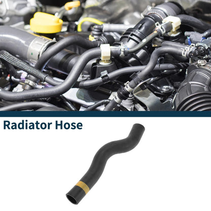 Radiator Hose for Toyota Previa 2.4L AT (2004)