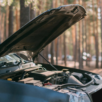 Front Hood Lift Supports Struts for Chevrolet Colorado