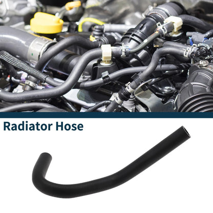 Radiator Hose for Toyota Prado (2010-2019)