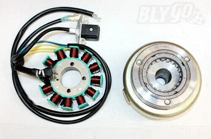 12 Pole Magneto Stator for 200cc 250cc PIT Quad Dirt Bike ATV