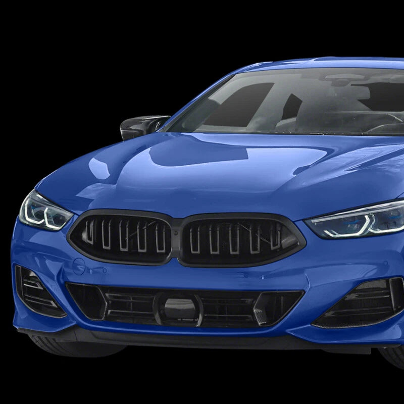 Gloss Black Dual Slats Front Kidney Bumper Grill for BMW G14 G15 G16 840i (2024)