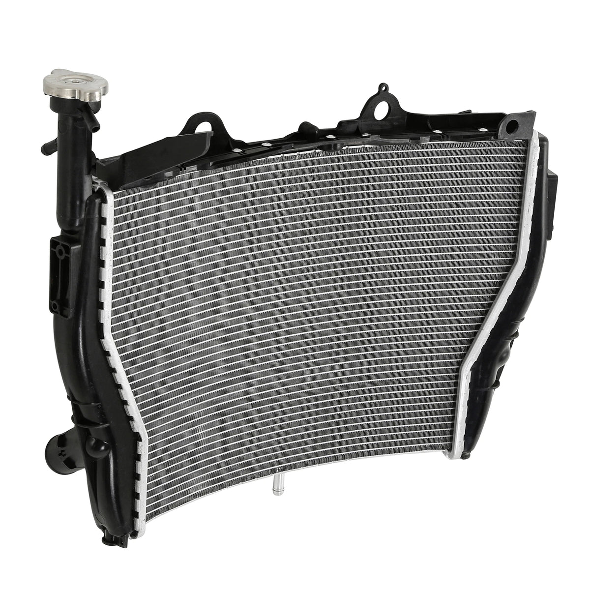 Radiator Cooler for BMW S1000RR, HP4 RACE (2009-2018)