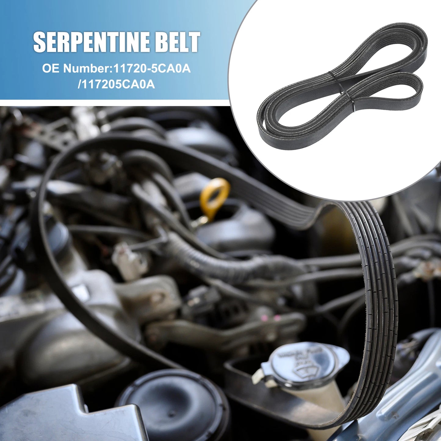 Serpentine Belt V-Ribbed for Infiniti Q50 3.0L V6