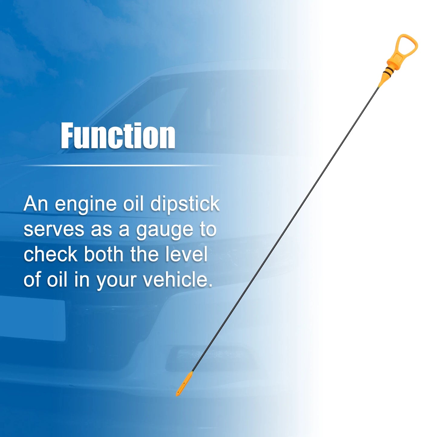 Engine Oil Dipstick for Mini Cooper Base S 1.6L L4 (2002)